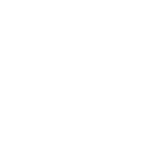 Kiwi mini