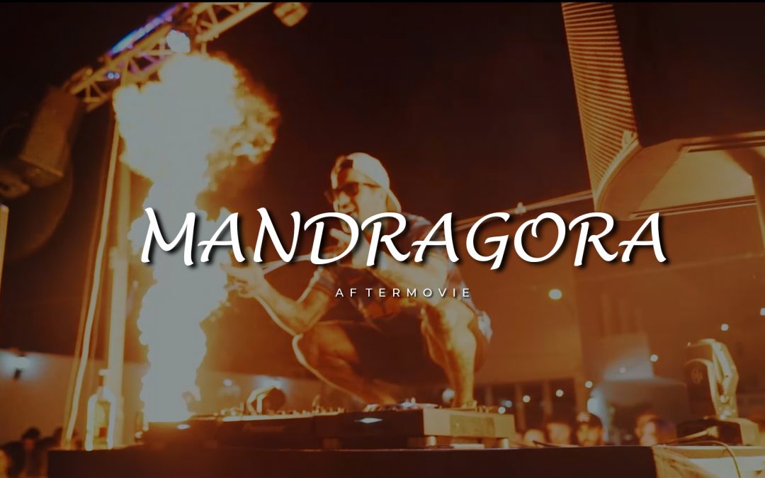 MANDRAGORA GARDEN- AFTERMOVIE